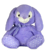 Dintanno Purple Teddie